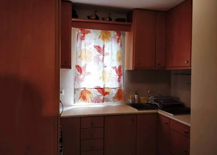 Sior Dionysios アパート アルゴストリオン